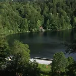 Alpengasthof Schwand Hotell 3*