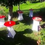 Hotel Alpengasthof Schwand