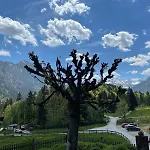 Alpengasthof Schwand